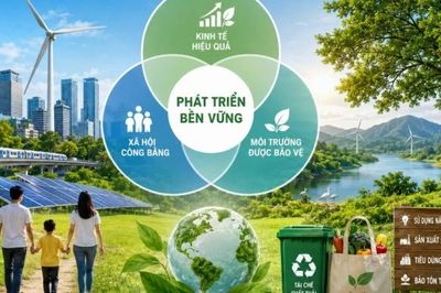 Phát triển bền vững trở thành một định hướng quan trọng đối với mọi quốc gia