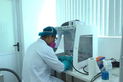 Quy trình giám định ADN tìm lại tên cho các liệt sĩ