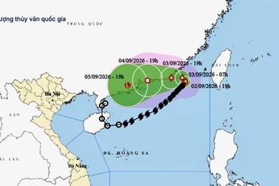 Bão số 5 khi nào suy yếu?