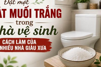 Đặt bát muối trắng trong nhà vệ sinh, cách làm của nhiều nhà giàu xưa để thu hút tài lộc