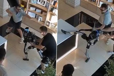 Robot 'tung cước' vào người khách hàng do bị đẩy giữa ngực