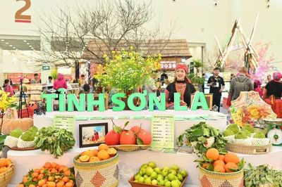 Bài 2: Từ đặc sản vùng cao đến thị trường bền vững