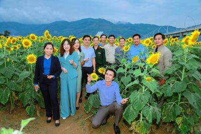 Hiệu quả mô hình trồng hoa hướng dương và hành tím