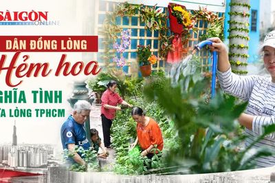TPHCM: Nhiều hẻm hoa xanh mát nhờ người dân đồng lòng