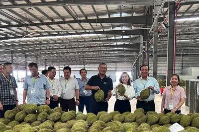 8 tháng: Xuất khẩu nông, lâm, thủy sản đạt khoảng 49 tỷ USD, tăng 7%