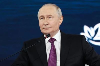 Ông Putin chạm trán hổ trong chuyến thăm Viễn Đông