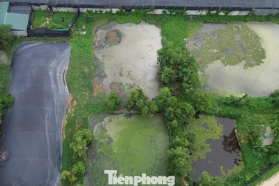 Đình chỉ trại vịt 30.000 con ở Thanh Hóa