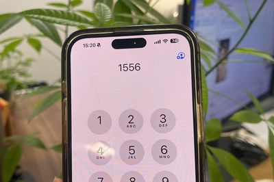 Đấu giá trực tuyến đầu số 1556, giá khởi điểm một tỷ đồng