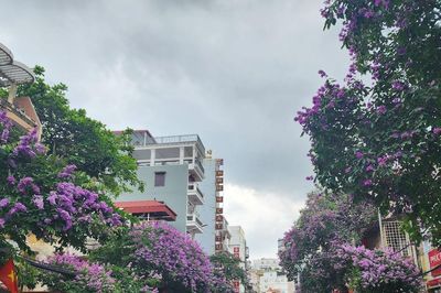 Hải Phòng tạm cấm đường Cầu Đất để thu hồi, vận chuyển và huỷ nổ 1 quả bom