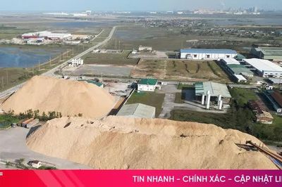 Hà Tĩnh: Kim ngạch xuất khẩu dăm gỗ 8 tháng đạt 60,4 triệu USD, tăng 46,46%
