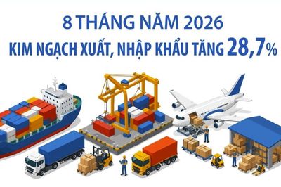 8 tháng năm 2026: Kim ngạch xuất, nhập khẩu tăng 28,7%