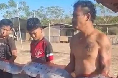 Đang đi dạo biển, người dân bỗng thấy cảnh tượng 'nổi da gà' trước mặt