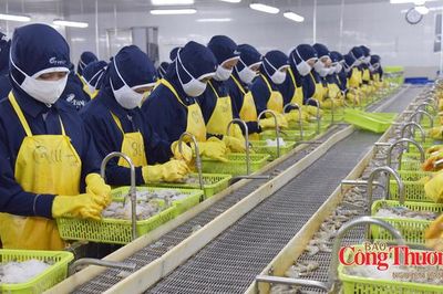 Xuất khẩu sang EU: Bao bì trở thành bài toán mới