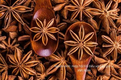 36 thông báo SPS mới, doanh nghiệp xuất khẩu cần lưu ý gì?