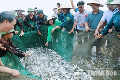 Chạm nhịp sống làng chài ven biển Hải Tiến