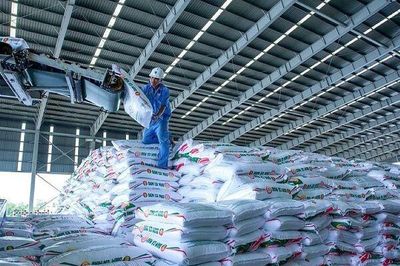 Cổ phiếu ngành phân bón: DCM và DPM được kỳ vọng tăng trưởng lợi nhuận, P/E đang thấp hơn trung bình 5 năm