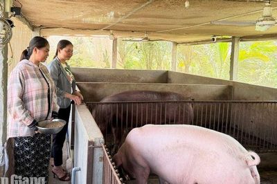 Khởi sắc vùng đồng bào Khmer xã Hòa Thuận