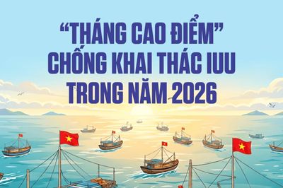 [Infographic] - 'Tháng cao điểm' chống khai thác IUU trong năm 2026