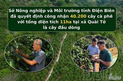 Bài 4: Khát vọng 'trái ngọt' vươn xa