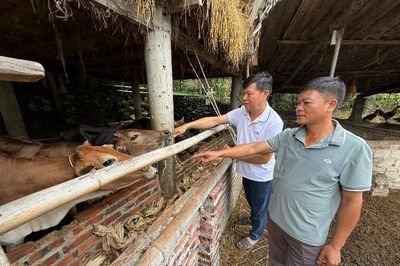 Mường Kim học Bác