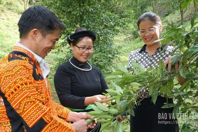 Ba Sơn: Mở không gian phát triển mới