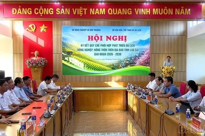 Lào Cai tăng cường phối hợp phát triển du lịch nông nghiệp, nông thôn