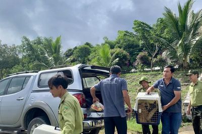 Ngăn chặn mua bán động vật hoang dã