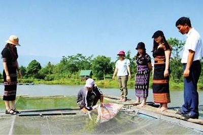 Thoát nghèo nhờ mô hình nông nghiệp tuần hoàn