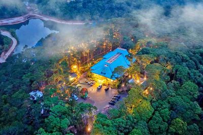 Khu nhà trên cây được đề cử 'Làng du lịch tốt nhất thế giới'