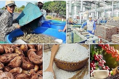Xuất khẩu nông, lâm, thủy sản đạt gần 49,3 tỷ USD sau 8 tháng