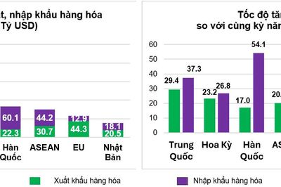 Xuất nhập khẩu lập kỷ lục, cán cân thương mại nhập siêu hơn 20 tỷ USD