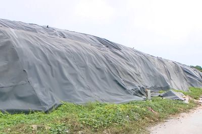Cần sớm có giải pháp xử lý 85 nghìn tấn tro bay