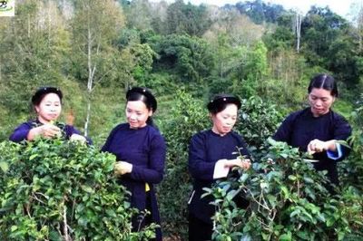 Độc Lập đưa Nghị quyết của Đảng vào cuộc sống