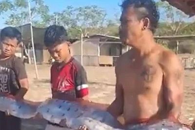 Bất ngờ phát hiện 'quái vật biển sâu' dài hơn 4m trên bãi biển nổi tiếng: Loài sinh vật gắn liền với lời đồn động đất và sóng thần khiến du khách vừa tò mò vừa lo lắng