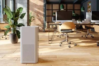 Bật máy lọc không khí 24/7 có khiến tiền điện tăng mạnh?