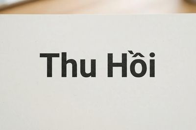 Cảnh báo 4 mẫu xe Audi, BMW, Porsche, Ford bị thu hồi ở nước ngoài: Người dùng tại Việt Nam cần lưu ý gì?