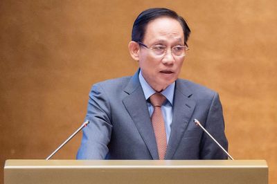 Bộ trưởng Ngoại giao: Xây dựng bản đồ nguồn lực người Việt Nam ở nước ngoài