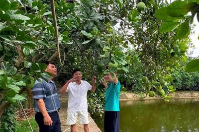 Vốn chính sách – điểm tựa cho sinh kế người dân