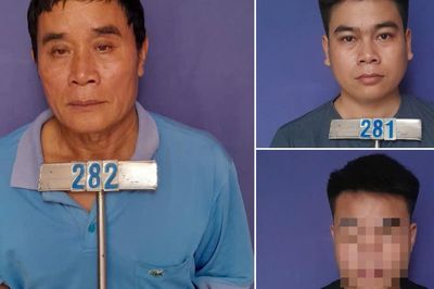 Thuê ô tô tự lái đi trộm 17 con dê