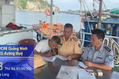 Phát hiện 2 tàu cá khai thác thủy sản trái phép trên Vịnh Hạ Long