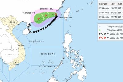 Bão số 5 đang suy yếu nhanh, nhiều vùng biển nước ta sóng cao đến 5m