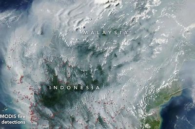 Cháy than bùn phủ khói mù mịt Indonesia, nguy cơ tái diễn thảm họa năm 2015