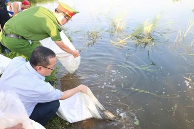 Quảng Ngãi: Thả cá tái tạo nguồn lợi thủy sản trên sông Trà Khúc