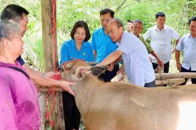 Thiết thực hỗ trợ sinh kế cho hộ nghèo, hộ cận nghèo