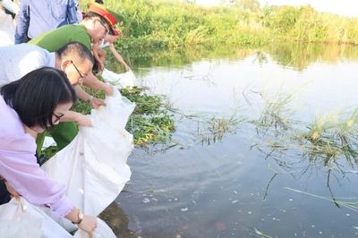 Quảng Ngãi: Thả cá giống tái tạo nguồn lợi thủy sản trên sông Trà Khúc
