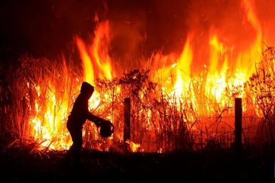 Indonesia rải 8 tấn muối để chống cháy rừng