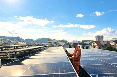 Phủ 'điện xanh' trên các mái nhà