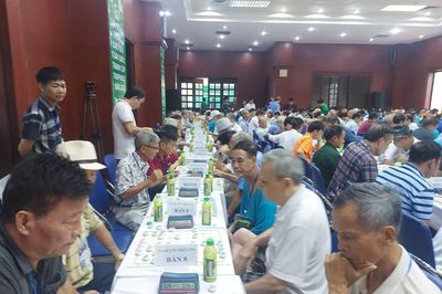 Bảo đảm an sinh xã hội cho người cao tuổi không có lương hưu
