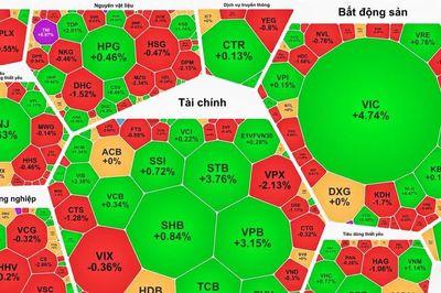 VN-Index tăng hơn 25 điểm