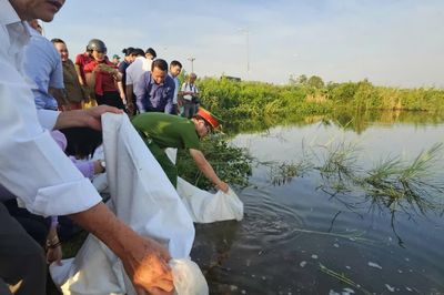 Thả cá giống tái tạo nguồn lợi thủy sản hạ lưu sông Trà Khúc